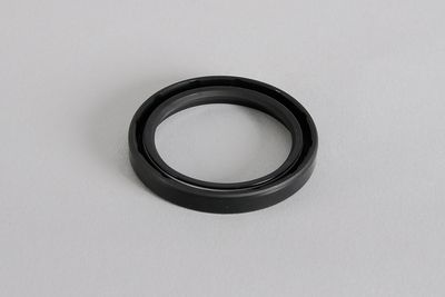 Shaft seal ring 45-60-8 